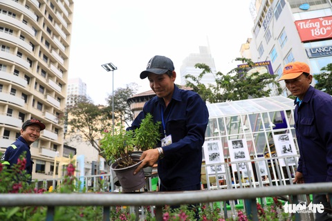 Chó Phú Quốc nổi bật ở đường hoa Nguyễn Huệ - Ảnh 14. Chó Phú Quốc nổi bật ở đường hoa Nguyễn Huệ - Ảnh 14.