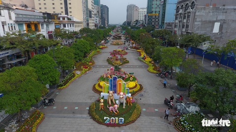 Chó Phú Quốc nổi bật ở đường hoa Nguyễn Huệ - Ảnh 6. Chó Phú Quốc nổi bật ở đường hoa Nguyễn Huệ - Ảnh 6.