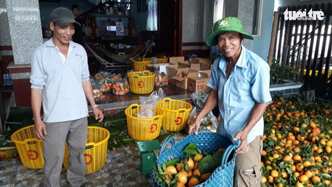 Quýt hồng Núi Cấm xuống núi ăn Tết Mậu Tuất - Ảnh 1. Quýt hồng Núi Cấm xuống núi ăn Tết Mậu Tuất - Ảnh 1.