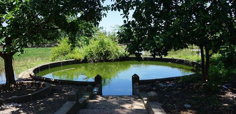 Nhà văn Nguyễn Quang Thiều: Tết rời phố về quê nướng cá - Ảnh 7. Nhà văn Nguyễn Quang Thiều: Tết rời phố về quê nướng cá - Ảnh 7.