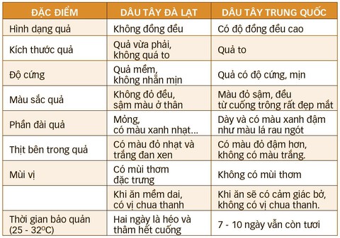 Phân biệt dâu tây Đà Lạt, dâu tây Trung Quốc - Ảnh 2. Phân biệt dâu tây Đà Lạt, dâu tây Trung Quốc - Ảnh 2.