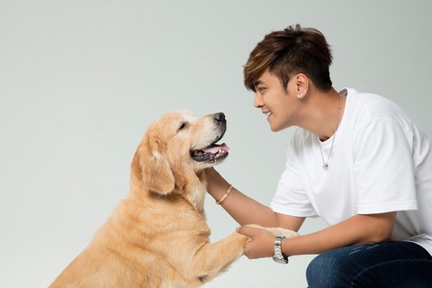 Điểm danh các nghệ sĩ Hoa ngữ tình nguyện làm sen cho chó - Ảnh 7. Điểm danh các nghệ sĩ Hoa ngữ tình nguyện làm sen cho chó - Ảnh 7.