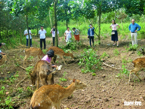 Tết đến Đảo Yến để trở về với thiên nhiên thơ mộng - Ảnh 1. Tết đến Đảo Yến để trở về với thiên nhiên thơ mộng - Ảnh 1.