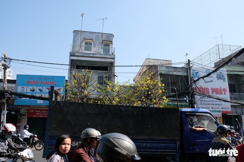 Màu tết rực rỡ tràn ngập phố Sài Gòn - Ảnh 8. Màu tết rực rỡ tràn ngập phố Sài Gòn - Ảnh 8.