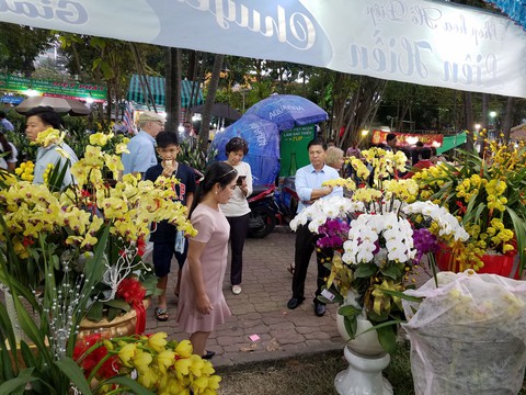 Lan hồ điệp tết cạn hàng, giá tăng - Ảnh 2. Lan hồ điệp tết cạn hàng, giá tăng - Ảnh 2.