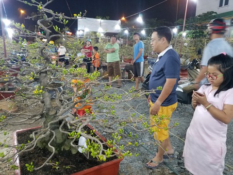 Dân Sài Gòn hối hả săn mai Tết tận khuya - Ảnh 4. Dân Sài Gòn hối hả săn mai Tết tận khuya - Ảnh 4.