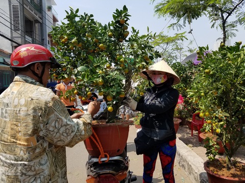 29 Tết: Mai, tắc giảm giá, dân Sài Gòn tranh thủ mua - Ảnh 1. 29 Tết: Mai, tắc giảm giá, dân Sài Gòn tranh thủ mua - Ảnh 1.
