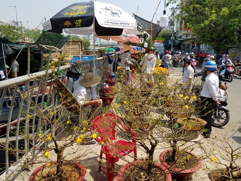 29 Tết: Mai, tắc giảm giá, dân Sài Gòn tranh thủ mua - Ảnh 4. 29 Tết: Mai, tắc giảm giá, dân Sài Gòn tranh thủ mua - Ảnh 4.