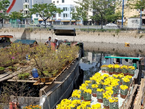 29 Tết: Mai, tắc giảm giá, dân Sài Gòn tranh thủ mua - Ảnh 5. 29 Tết: Mai, tắc giảm giá, dân Sài Gòn tranh thủ mua - Ảnh 5.