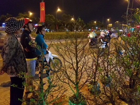 Dân Sài Gòn hối hả săn mai Tết tận khuya - Ảnh 7. Dân Sài Gòn hối hả săn mai Tết tận khuya - Ảnh 7.