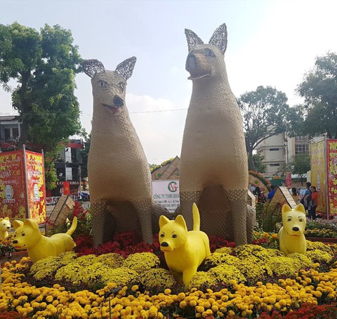 Đàn chó đường hoa Mỹ Tho đã vui trở lại! - Ảnh 1. Đàn chó đường hoa Mỹ Tho đã vui trở lại! - Ảnh 1.