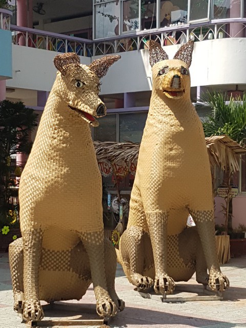 Đàn chó đường hoa Mỹ Tho đã vui trở lại! - Ảnh 4. Đàn chó đường hoa Mỹ Tho đã vui trở lại! - Ảnh 4.