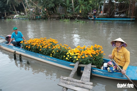 Miền Tây ngày giáp tết: gốc mai, bông thọ và... Đắp mộ cuộc tình - Ảnh 13. Miền Tây ngày giáp tết: gốc mai, bông thọ và... Đắp mộ cuộc tình - Ảnh 13.