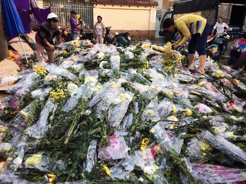 Chợ hoa sỉ lớn nhất Sài Gòn vỡ trận - Ảnh 3. Chợ hoa sỉ lớn nhất Sài Gòn vỡ trận - Ảnh 3.