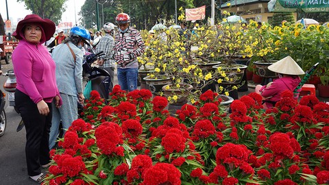 Trưa 30 tết nhiều điểm bán hoa ở TPHCM quyết không giảm giá - Ảnh 1. Trưa 30 tết nhiều điểm bán hoa ở TPHCM quyết không giảm giá - Ảnh 1.