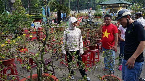 Trưa 30 tết nhiều điểm bán hoa ở TPHCM quyết không giảm giá - Ảnh 10. Trưa 30 tết nhiều điểm bán hoa ở TPHCM quyết không giảm giá - Ảnh 10.