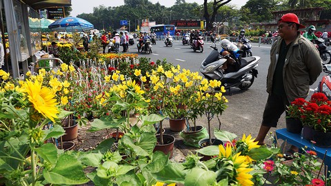 Trưa 30 tết nhiều điểm bán hoa ở TPHCM quyết không giảm giá - Ảnh 2. Trưa 30 tết nhiều điểm bán hoa ở TPHCM quyết không giảm giá - Ảnh 2.