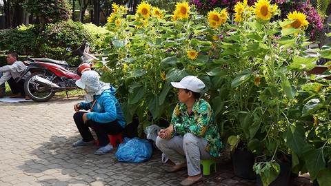 Trưa 30 tết nhiều điểm bán hoa ở TPHCM quyết không giảm giá - Ảnh 3. Trưa 30 tết nhiều điểm bán hoa ở TPHCM quyết không giảm giá - Ảnh 3.