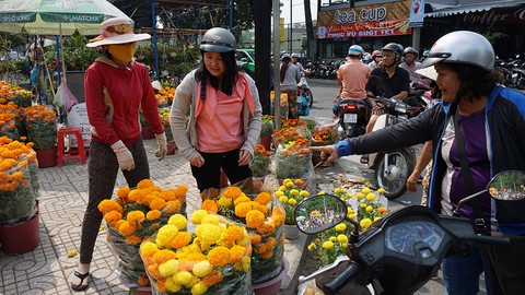 Trưa 30 tết nhiều điểm bán hoa ở TPHCM quyết không giảm giá - Ảnh 9. Trưa 30 tết nhiều điểm bán hoa ở TPHCM quyết không giảm giá - Ảnh 9.
