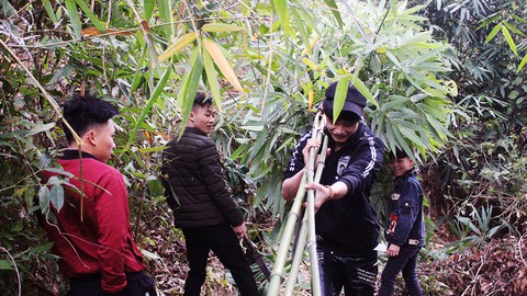 Theo chân người Tày vào rừng lấy cây nêu đón Tết - Ảnh 3. Theo chân người Tày vào rừng lấy cây nêu đón Tết - Ảnh 3.