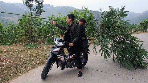 Theo chân người Tày vào rừng lấy cây nêu đón Tết - Ảnh 7. Theo chân người Tày vào rừng lấy cây nêu đón Tết - Ảnh 7.