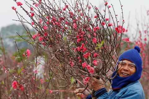 Mùng 1 Tết ở Bắc Bộ và Trung Bộ trời rét - Ảnh 1. Mùng 1 Tết ở Bắc Bộ và Trung Bộ trời rét - Ảnh 1.
