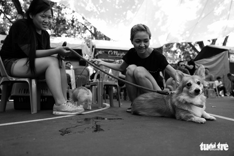 Những hình ảnh của con người với những chú chó - Ảnh 4. Những hình ảnh của con người với những chú chó - Ảnh 4.