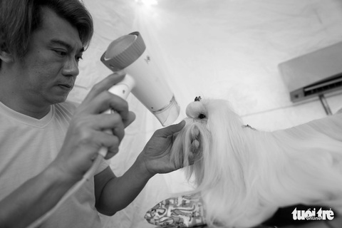 Những hình ảnh của con người với những chú chó - Ảnh 8. Những hình ảnh của con người với những chú chó - Ảnh 8.
