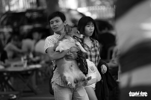 Những hình ảnh của con người với những chú chó - Ảnh 6. Những hình ảnh của con người với những chú chó - Ảnh 6.