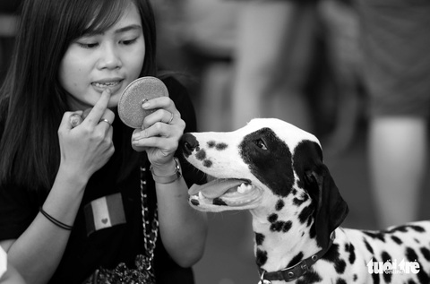 Những hình ảnh của con người với những chú chó - Ảnh 7. Những hình ảnh của con người với những chú chó - Ảnh 7.