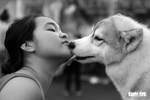 Những hình ảnh của con người với những chú chó - Ảnh 1. Những hình ảnh của con người với những chú chó - Ảnh 1.