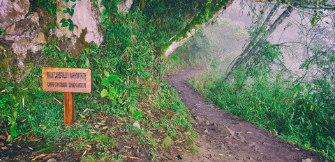Trần Đặng Đăng Khoa chia sẻ kinh nghiệm đến kỳ quan Machu Picchu - Ảnh 10. Trần Đặng Đăng Khoa chia sẻ kinh nghiệm đến kỳ quan Machu Picchu - Ảnh 10.