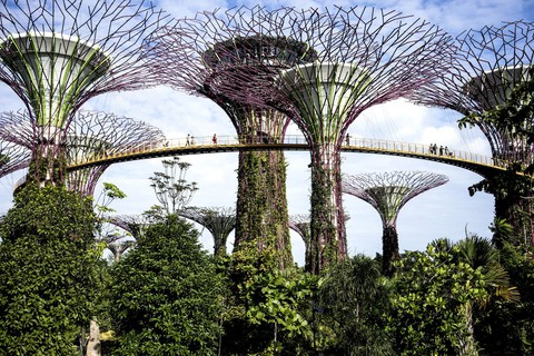 Những khu vườn trên cao nổi tiếng ở Singapore - Ảnh 1. Những khu vườn trên cao nổi tiếng ở Singapore - Ảnh 1.