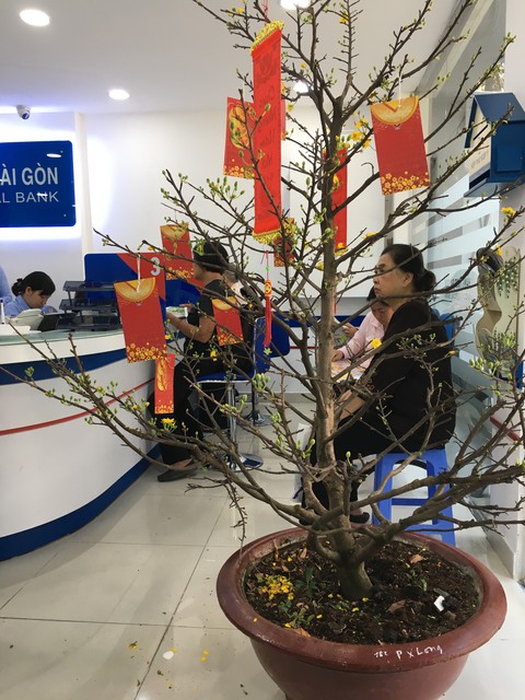 Đầu năm chạy sô săn lì xì của ngân hàng - Ảnh 2. Đầu năm chạy sô săn lì xì của ngân hàng - Ảnh 2.