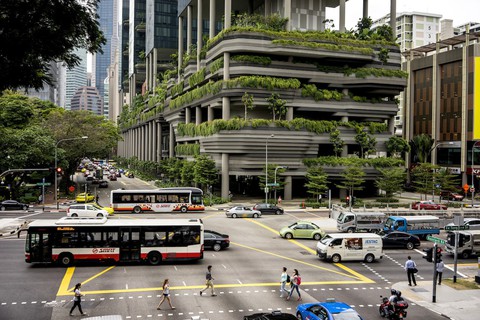 Những khu vườn trên cao nổi tiếng ở Singapore - Ảnh 5. Những khu vườn trên cao nổi tiếng ở Singapore - Ảnh 5.
