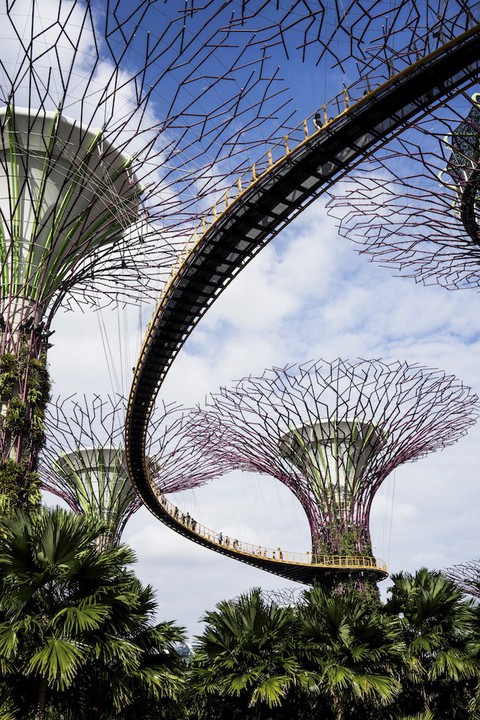 Những khu vườn trên cao nổi tiếng ở Singapore - Ảnh 9. Những khu vườn trên cao nổi tiếng ở Singapore - Ảnh 9.