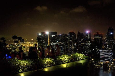 Những khu vườn trên cao nổi tiếng ở Singapore - Ảnh 6. Những khu vườn trên cao nổi tiếng ở Singapore - Ảnh 6.
