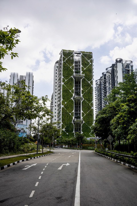 Những khu vườn trên cao nổi tiếng ở Singapore - Ảnh 11. Những khu vườn trên cao nổi tiếng ở Singapore - Ảnh 11.