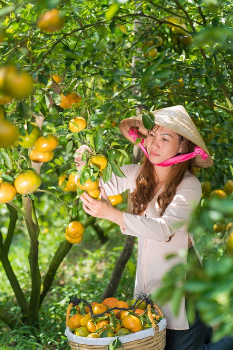 Ông Lê Minh Hoan: Hướng đến nền nông nghiệp thông minh - Ảnh 2. Ông Lê Minh Hoan: Hướng đến nền nông nghiệp thông minh - Ảnh 2.