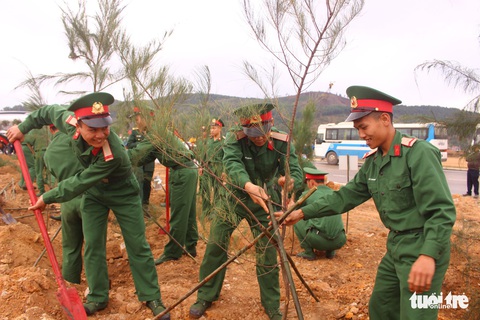 Trồng 5ha phi lao khởi công Tháng thanh niên - Ảnh 4. Trồng 5ha phi lao khởi công Tháng thanh niên - Ảnh 4.