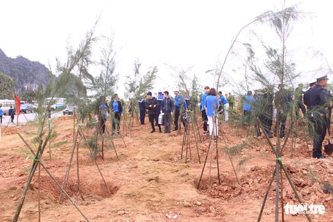 Trồng 5ha phi lao khởi công Tháng thanh niên - Ảnh 5. Trồng 5ha phi lao khởi công Tháng thanh niên - Ảnh 5.