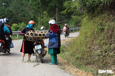 Du xuân trên miền cao phía Bắc - Ảnh 5. Du xuân trên miền cao phía Bắc - Ảnh 5.