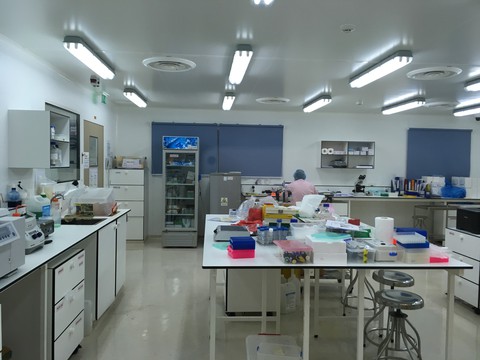 Cuộc ‘hôn nhân’ 27 năm cứu sống hàng triệu người - Ảnh 1. Cuộc ‘hôn nhân’ 27 năm cứu sống hàng triệu người - Ảnh 1.