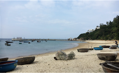 Yêu cầu thông tin rõ về dự án resort trên đảo Cù Lao Chàm - Ảnh 2.