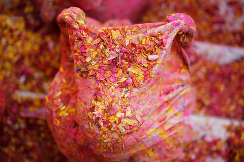 Góa phụ Ấn ăn mừng Holi, phá vỡ tập tục bất công - Ảnh 10. Góa phụ Ấn ăn mừng Holi, phá vỡ tập tục bất công - Ảnh 10.