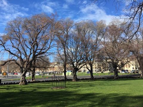 Ngày rời Tassie, tôi đã bỏ quên con tim - Ảnh 3. Ngày rời Tassie, tôi đã bỏ quên con tim - Ảnh 3.