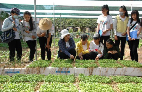 Dạy trò trồng rau hữu cơ theo chuẩn Nhật Bản - Ảnh 1. Dạy trò trồng rau hữu cơ theo chuẩn Nhật Bản - Ảnh 1.