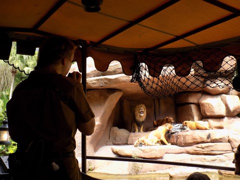 Lạc vào Disneyland ở Florida: thiên đường có thật - Ảnh 5. Lạc vào Disneyland ở Florida: thiên đường có thật - Ảnh 5.