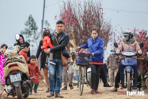 Bạn trẻ thủ đô xúng xính tạo dáng bên đào Nhật Tân - Ảnh 4. Bạn trẻ thủ đô xúng xính tạo dáng bên đào Nhật Tân - Ảnh 4.