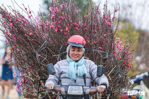 Bạn trẻ thủ đô xúng xính tạo dáng bên đào Nhật Tân - Ảnh 12. Bạn trẻ thủ đô xúng xính tạo dáng bên đào Nhật Tân - Ảnh 12.
